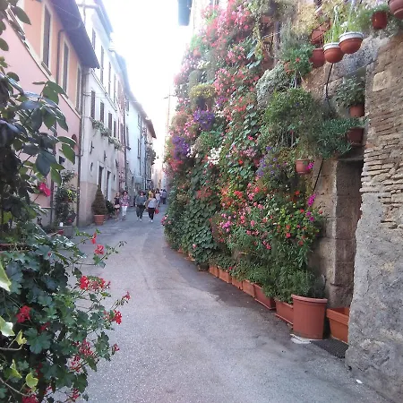 La Casetta Dei Sogni *