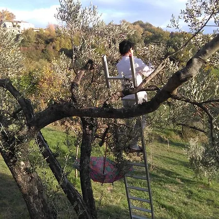 Appartamento La Casetta Dei Sogni *